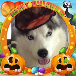 Meet your Posher, Nan